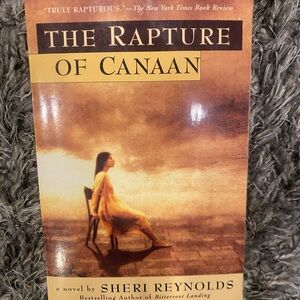 Reptile Habitat Decor - Brown